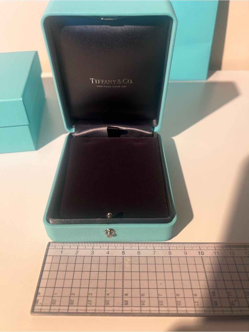 Tiffany & Co. Robin's Egg Blue Large Pendant Box and Bag Set - Picture 2 of 3